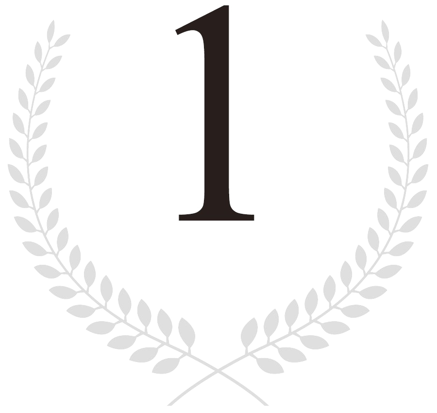 icon-1